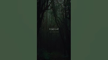 وَمَآ أَدْرَىٰكَ مَا عِلِّيُّونَ | محمد صديق المنشاوي | سورة المطففين