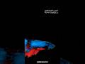 شاهد الوثائقي الكامل على القناة #shorts #حيوانات #animals