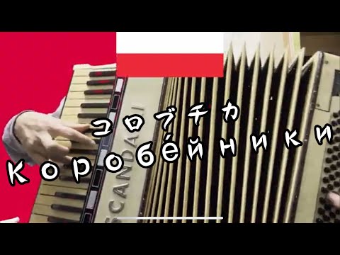 【音出し確認済】HOMKA ボタンアコーディオン 旧ソ連　U.S.S.R.製 音出し確認済】HOMKA ボタンアコーディオン 旧ソ連 U.S.S.R.製