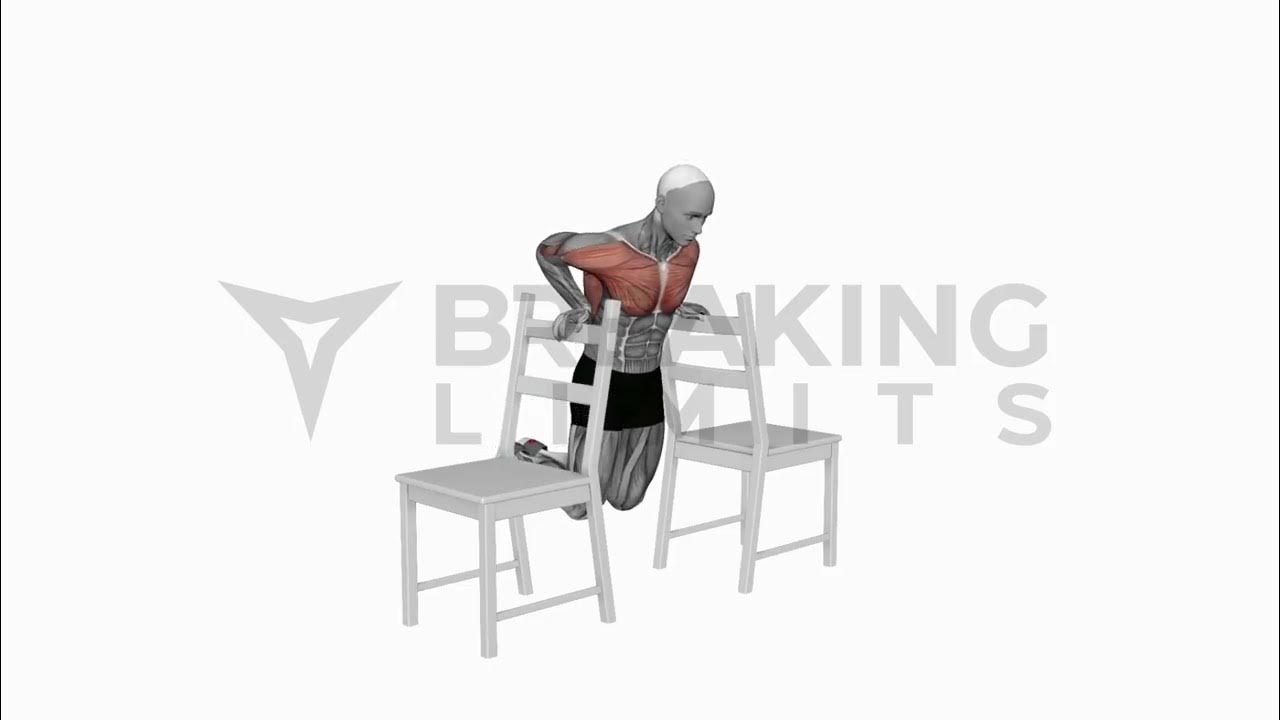 Dips between Chairs Breaking Limits YouTube
