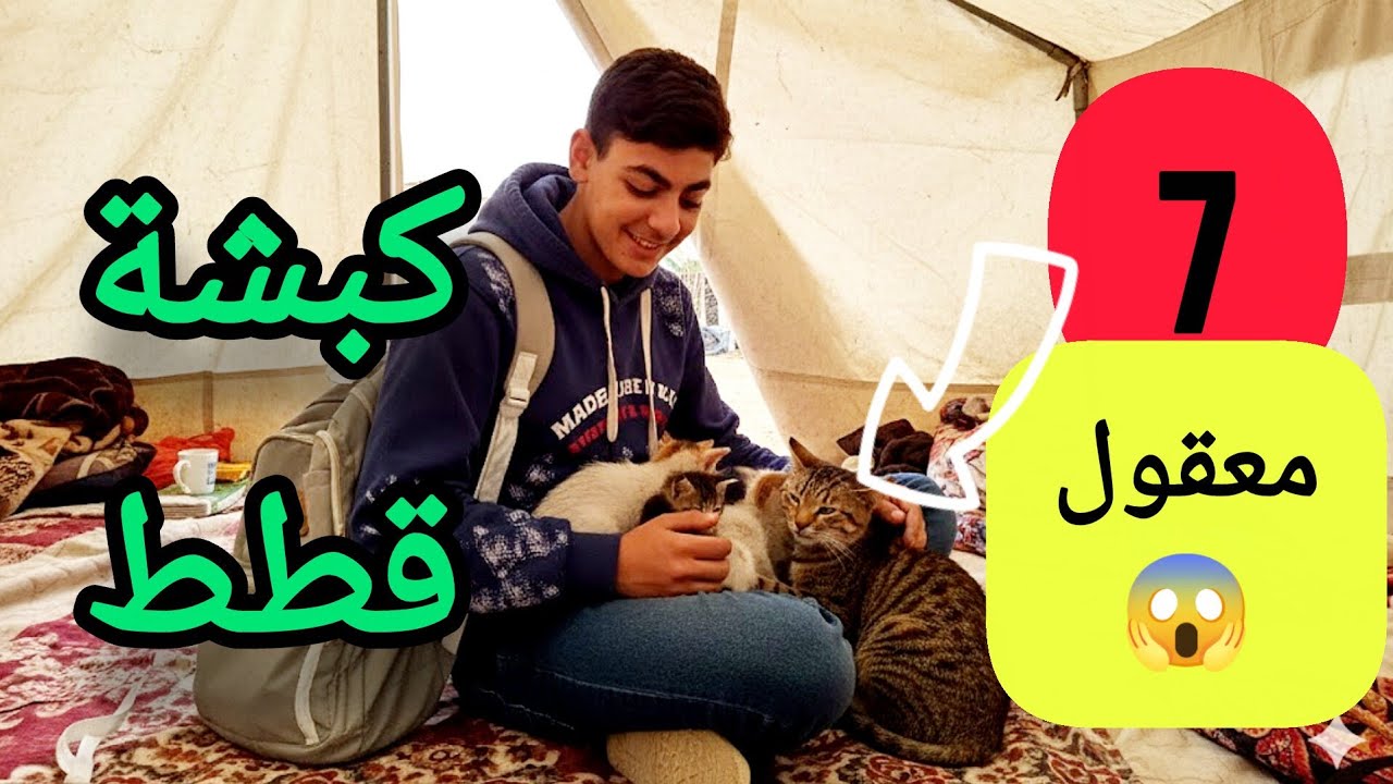 عملنا ديكور جديد للحوش ✓ اول فطور خارج الخيمة 😍