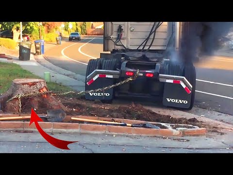 Top10 Dangerous Skills Tree Stump Removal With Tractors & Trucks! Amazing Root Removal Compilation
