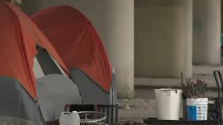 Houston City Council Approves Changes To Civility Ordinance