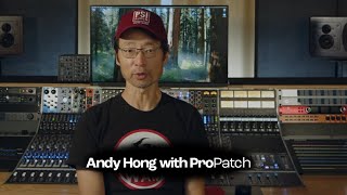 ProPatch Overview with Andy Hong | Wolff Audio screenshot 3