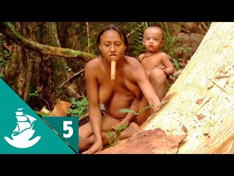 Amazonia: La Selva y el Asfalto (parte 5/5)