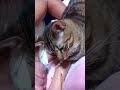 癒しのおやすみ前のお遊びダョ😊