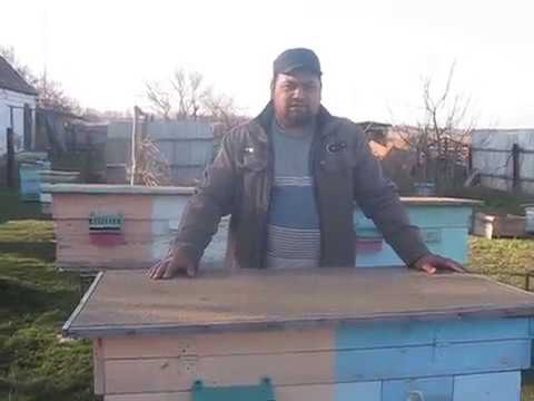 4 местный нуклеус и ускоренное развитие семей метод Блинова