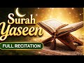 Listen Surah Yaseen 🌙 Heart Touching Recitation #SurahYaseen #QuranRecitation #IslamicShorts
