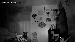 Orbs at our house.   Another day in the life.