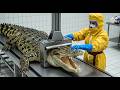 Crocodile Leather: What You Don't Know About Luxury