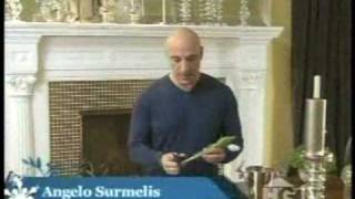 Angelo Surmelis In 25 Great Holiday Ideas For Hgtv - Part 2