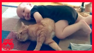 😊  Cute Moments (44)  أطفال مضحكون ★ فيديو أطرف أطفال الهند | لحظات ظريفة by India's Funniest Videos 5,231 views 2 years ago 9 minutes, 14 seconds