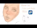How to color and shade skin in ibispaint