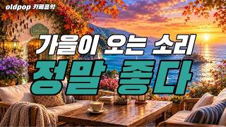 Playlist) The sound of autumn arriving quietly. Songs so good you'll keep them on repeat.