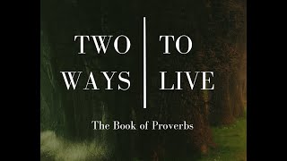 An Introduction to Wisdom