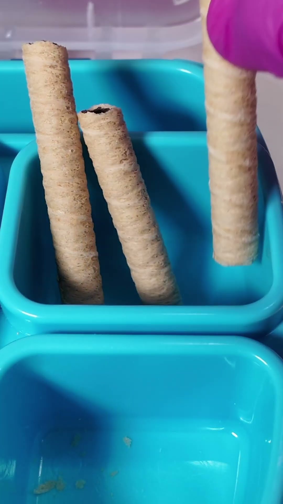 Packing School Lunch With CANDY Food??Satisfying Video ASMR? #asmr #shorts  #shortsfeed