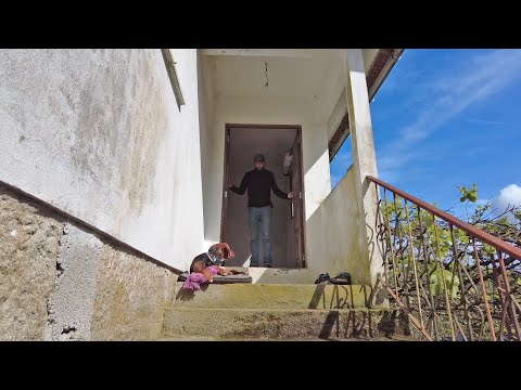वीडियो: अप्रत्याशित सिम्बियोसिस: पुर्तगाल में एक गोदाम पर घर