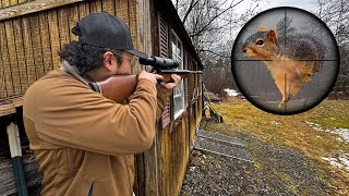 .25 Cal Air Rifle Squirrel Hunting! (Squirrel Stew Catch and Cook)