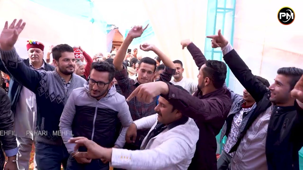Kotkhai marriage dance video,kotkhai anti song,pahari mehfil,pahari official,shimla dance song nati
