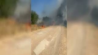 Πικέρμι: Από αυτοκίνητο ξεκίνησε η φωτιά