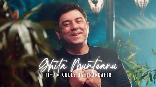 Ghita Munteanu - Ti-am cules un trandafir