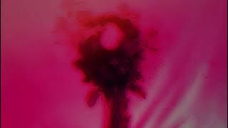 Casey - Great Grief (Official Audio)