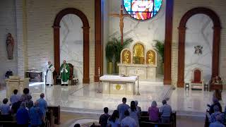 Vigil Mass for the 15th Sunday in Ordinary Time (Mass for July 12, 2026)