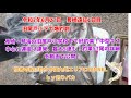 投げ釣り キス釣り 旧尾戸小下で爆釣 長崎遠征1日目 Surf Fishing Beach Casting Light Tackle 投げ釣り キス釣り 旧尾戸小下で爆釣 長崎遠征1日目 Surf Fishing Beach Casting Light Tackle