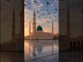 Do write 'Mashallah' in the comments.