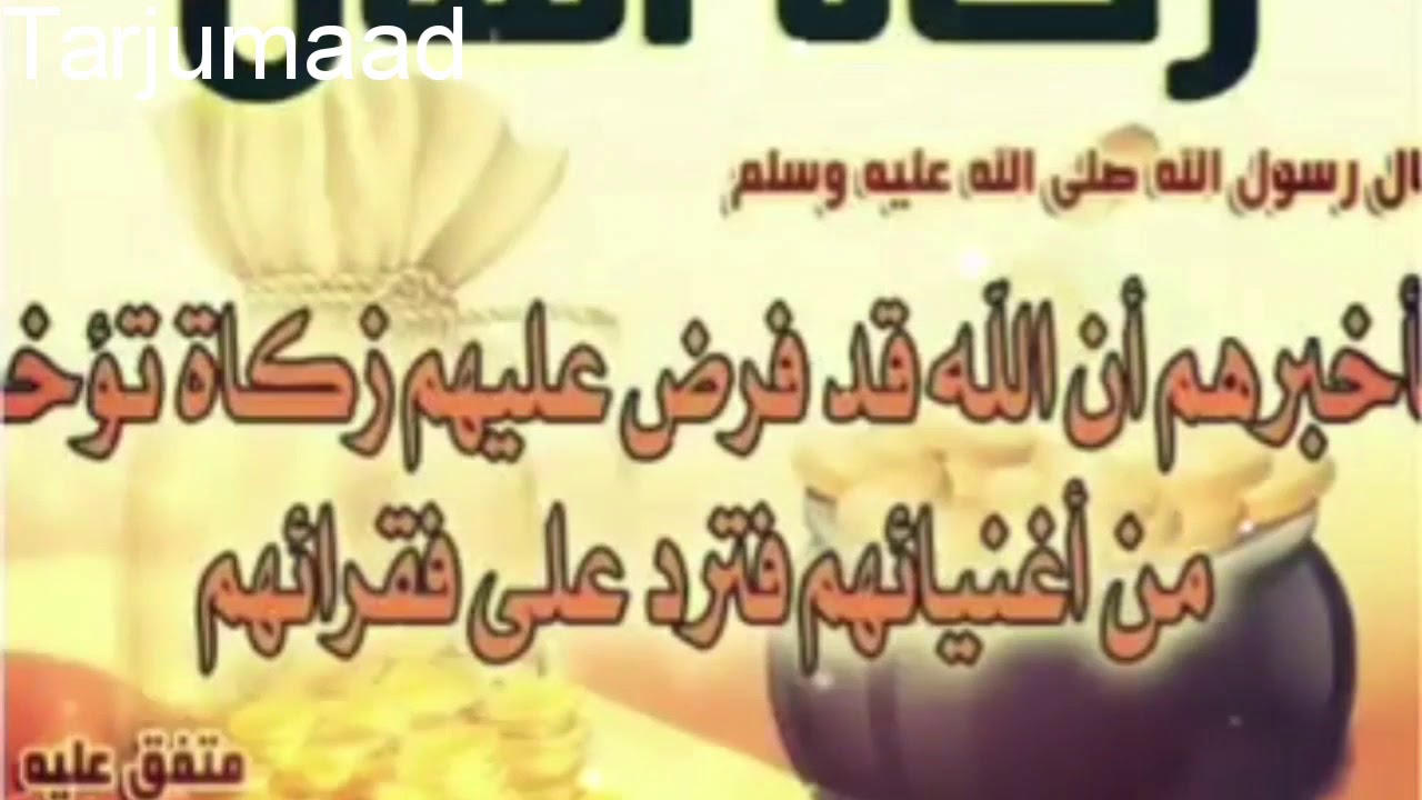 Zakada qeebtii 4aad: badarka, miraha, macdanta, iyo duug gaaleed