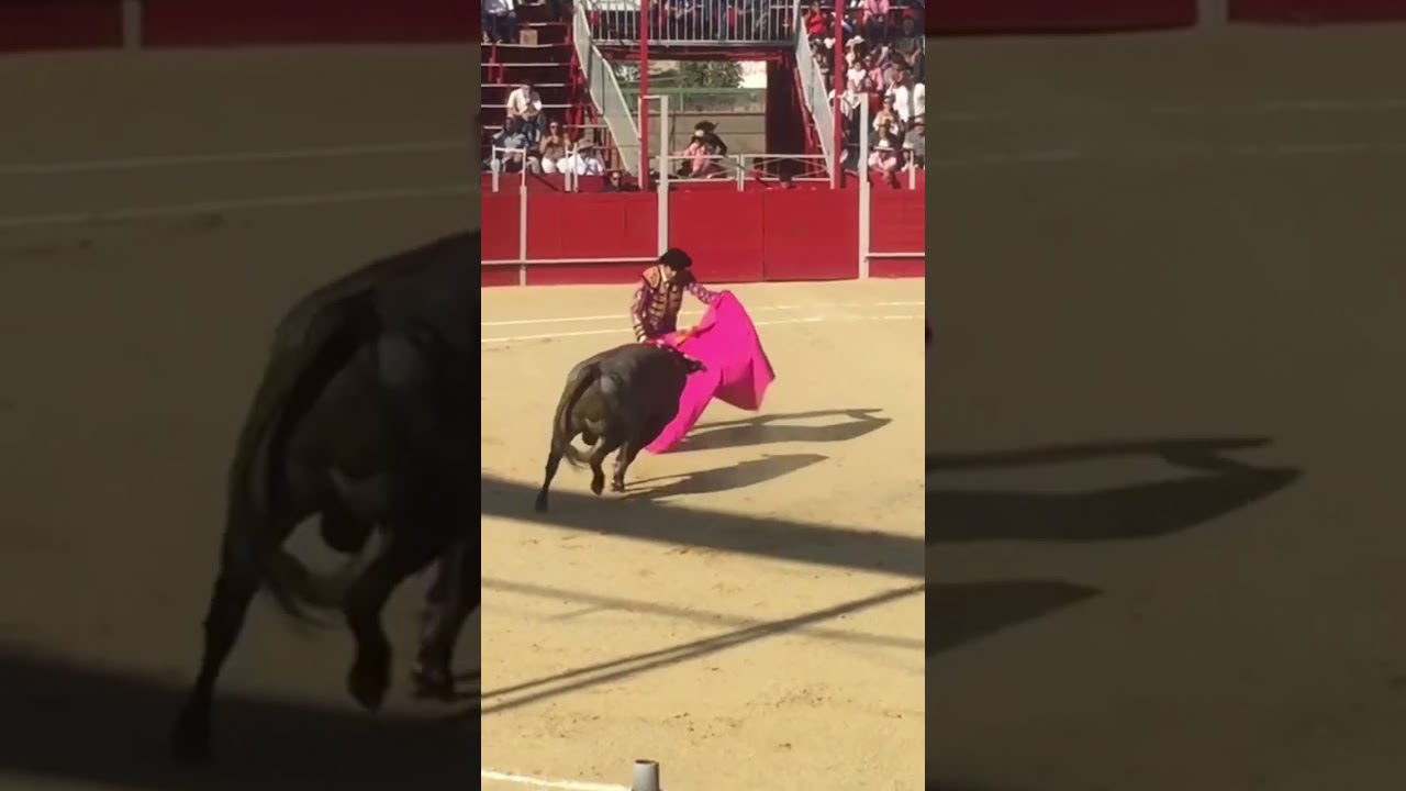 🇲🇽 Bull Fight in Tijuana 🐂 
