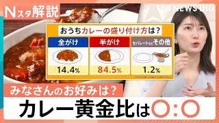 “ライスマネジメント”しやすい黄金比は1:2！　ジメジメ季節をスパイスで乗り切れ！“カレー商戦”本格化【Nスタ解説】｜TBS NEWS DIG