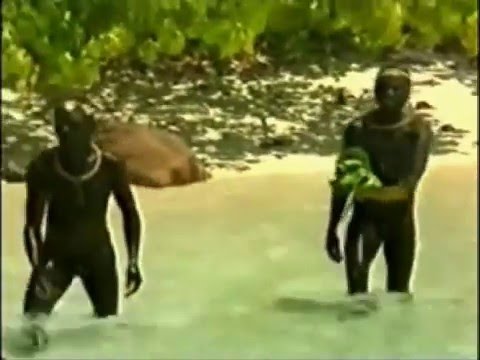 The Sentinelese People Briefly Trusted One Anthropologist