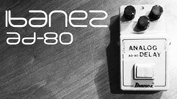 1980 Ibanez AD-80 Demo