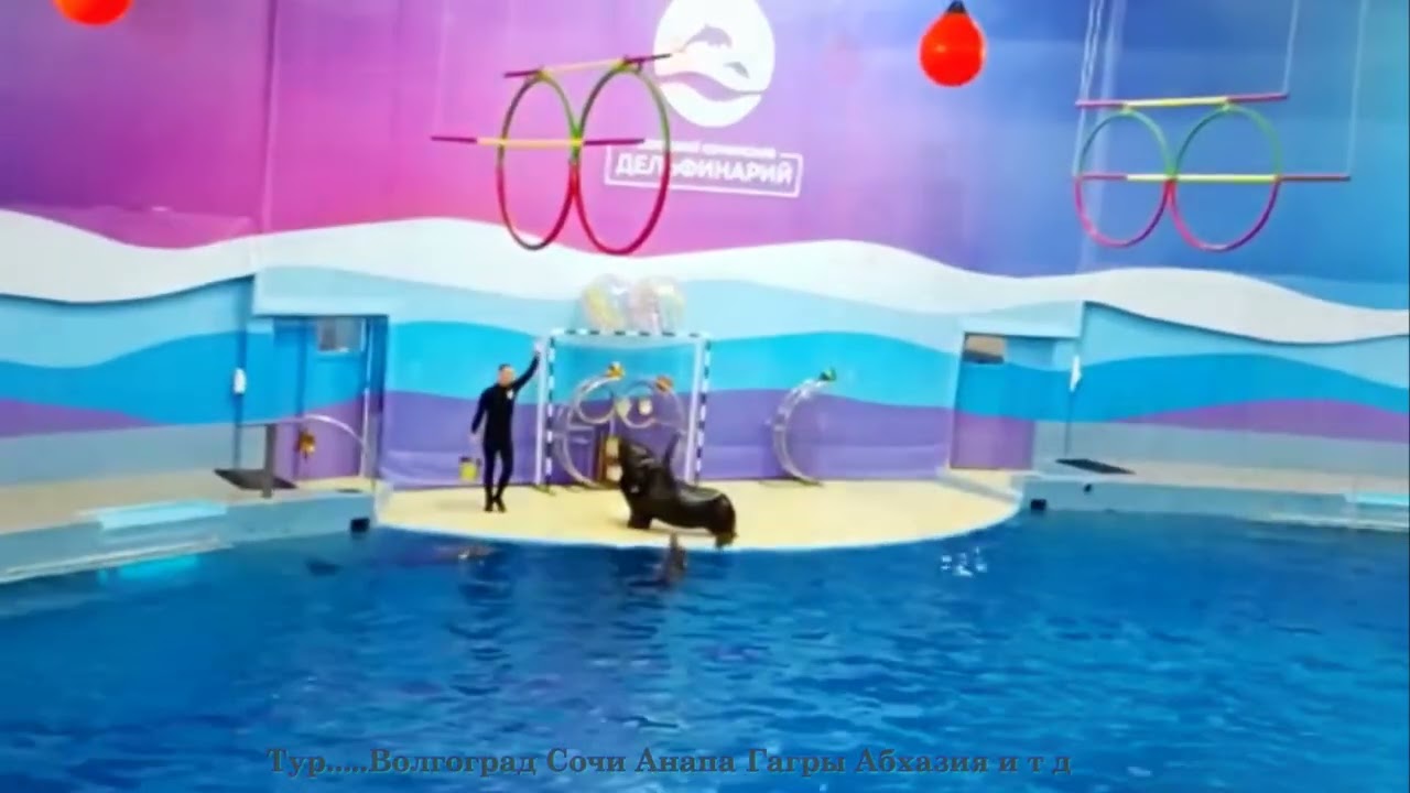 Тур....Волгоград Сочи Анапа Гагры Абхазия и тд /песня...Run Away - Kolya Funk