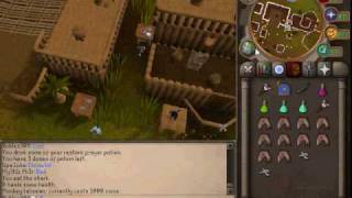 Guide on how to get the best Monkey GreeGree on Runescape!