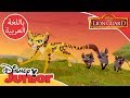 قيادة الأسد الحارس اركض بسرعة مثل فولي