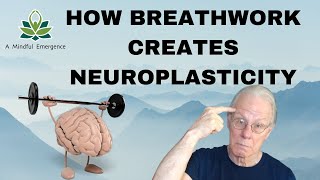 How Breathwork Creates Neuroplasticity