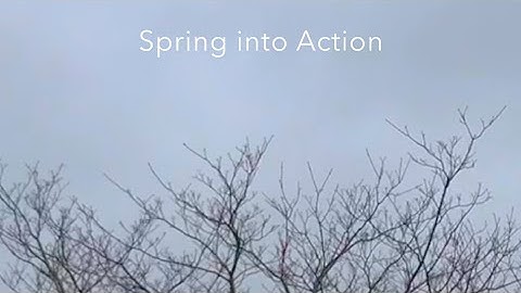 Spring into Action