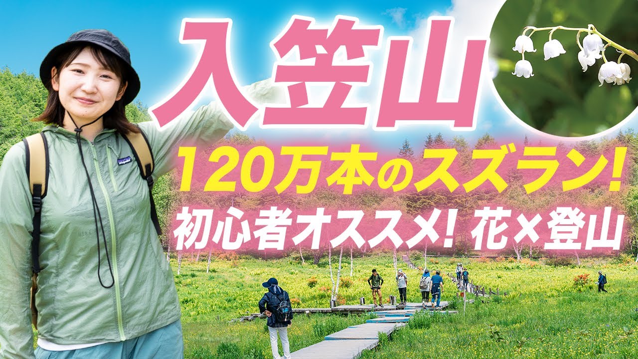 【入笠山】スズランの花畑！幻の花と八ヶ岳を眺める日帰り登山