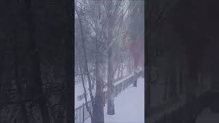Winter Morning In Russia #russia #wintermorning  #russianwinter  #newyear2022 #snowrussia  #snowfall