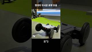 현대의 미친 로봇 모음