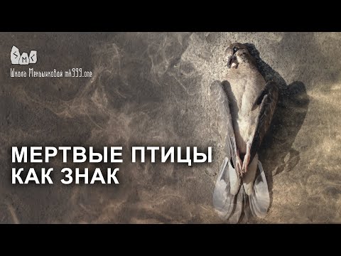 Мертвые птицы как знак