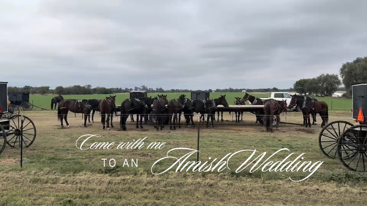 AMISH WEDDING vlog in my hometown with my homies 