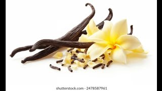 VANILLA: Nature’s Most Elegant Flavor | From Flower to Bean 🍦✨ Every Vanilla Bean Starts With A Flower