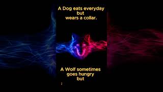 Alpha Mindset#alpha #wolf #lifelessons