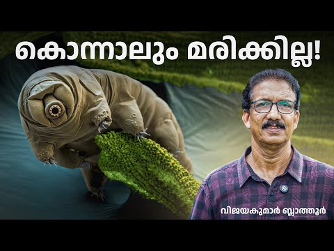 മരണംതോറ്റ എട്ടുകാലി #tardigrade ടാർഡിഗ്രേഡ്The Incredible Tardigrade #animalfactsvideos #malayalam