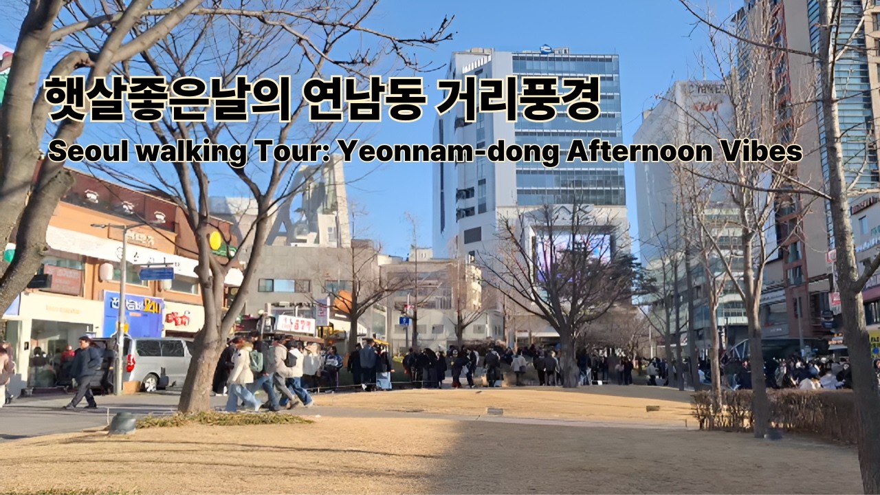 [수영의 길위에서] 햇살 좋은 연남동, 여유로운 오후의 발걸음