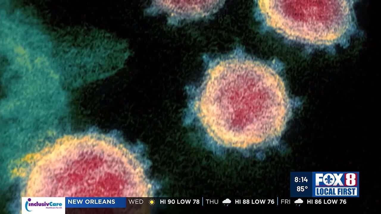 LCMC: Summer/Fall Covid Variants and Booster