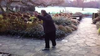 Michael W Acton: The Eternal Spring Qigong